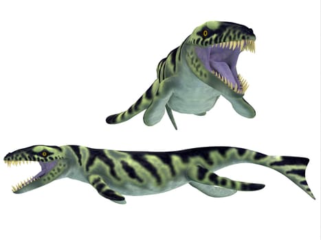 Dakosaurus was discovered in Argentina and Germany. It is unique among the family of marine crocodylians with its short snout (which is why it was nicknamed "Godzilla""). It lived during the Late Jurassic - Early Cretaceous."
