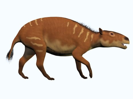 Eurohippus is one of the ancestors of the modern horse and lived in the Eocene Period in tropical forests of Europe.