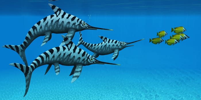 Eurhinosaurus was a fast swimming marine reptile Ichthyosaur from the Jurassic Era of Europe.