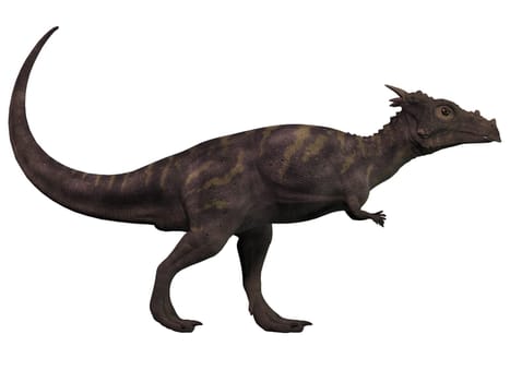 Dracorex named for dragon of Hogwarts was a herbivore in the Cretaceous era of North America.