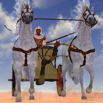 An Egyptian man takes his team of Arabian horses hitched to a chariot out in the desert.