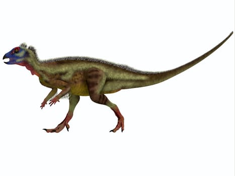 Hypsilophodon is an ornithopod dinosaur from the Early Cretaceous period of Europe.