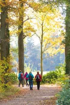 DENEKAMP, NETHERLANDS - NOVEMBER 2, 2016: Four unknown female hikers enjoying their walk in an autumn landscape in the netherlands