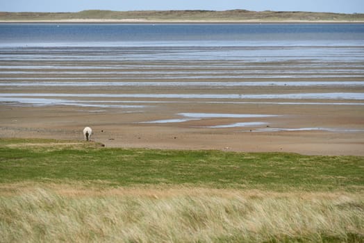 list on sylt