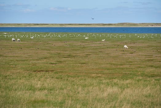 list on sylt