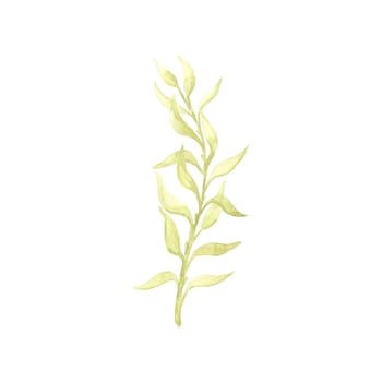 Bright watercolor leaf isolated on easy for cut white background