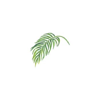 Bright watercolor leaf isolated on easy for cut white background