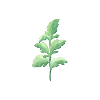 Bright watercolor leaf isolated on easy for cut white background