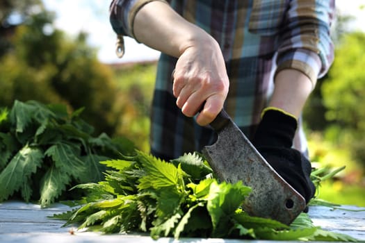 Woman chopping nettle leaves.