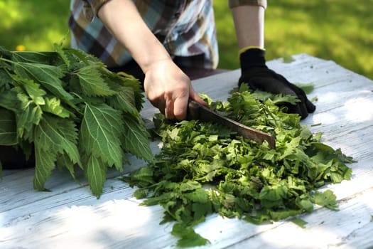 Woman chopping nettle leaves.