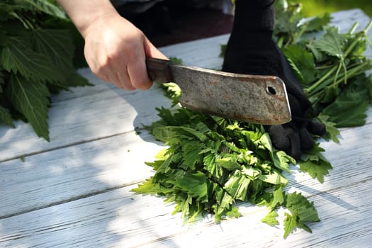 Woman chopping nettle leaves.