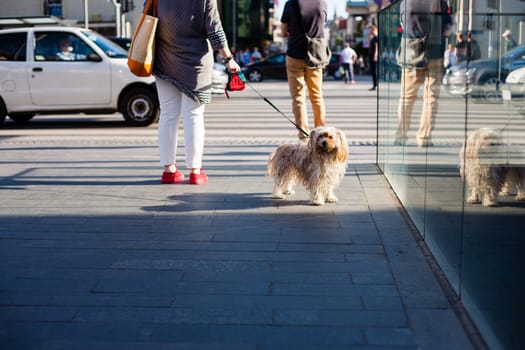 City life in the small Polish city of Wroclaw