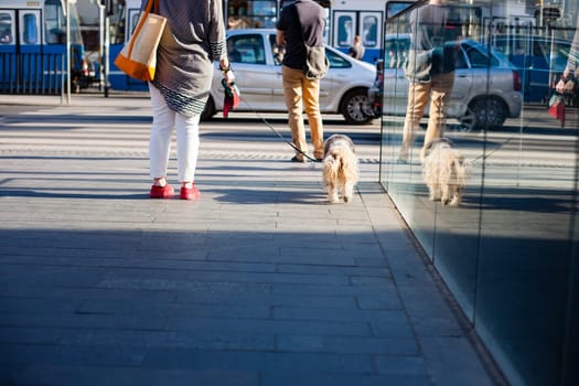 City life in the small Polish city of Wroclaw