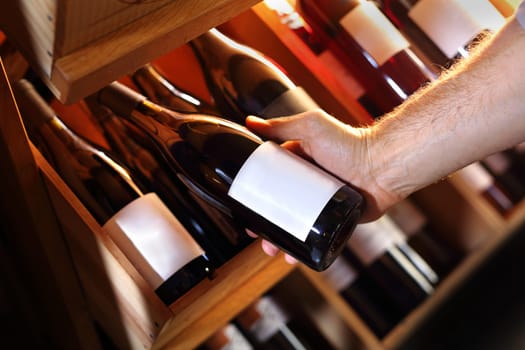 Wine. Man chooses a bottle of wine. Wine cellar