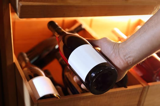 Wine. Man chooses a bottle of wine. Wine cellar