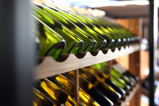 Wine. Man chooses a bottle of wine. Wine cellar