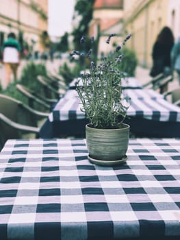 Table with flower pot in a cozy cafe outside