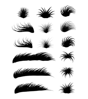 grass vector symbol icon design. Beautiful illustration isolated on white background.