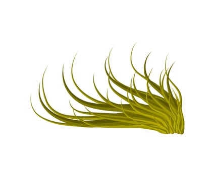 grass vector symbol icon design. Beautiful illustration isolated on white background.