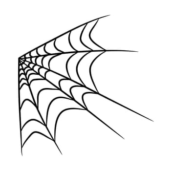 spider web vector symbol icon design. Beautiful illustration isolated on white background.