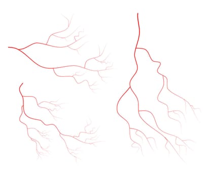 red vein set vector symbol icon design. Beautiful illustration isolated on white background.