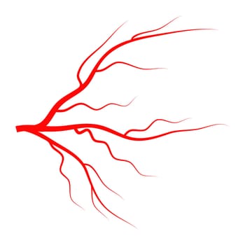 eye vein vector symbol icon design. Beautiful illustration isolated on white background.
