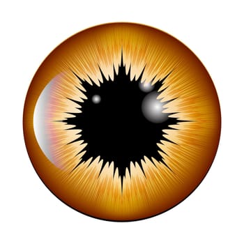 eye, pupil, iris, vector symbol icon design. Beautiful illustration isolated on white background.