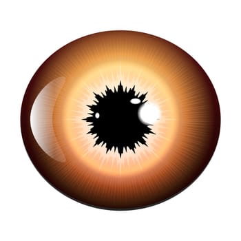 eye, pupil, iris, vector symbol icon design. Beautiful illustration isolated on white background.
