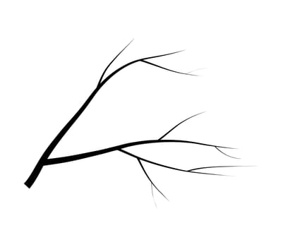 bare branch tree silhouette vector symbol icon design. Beautiful illustration isolated on white background.