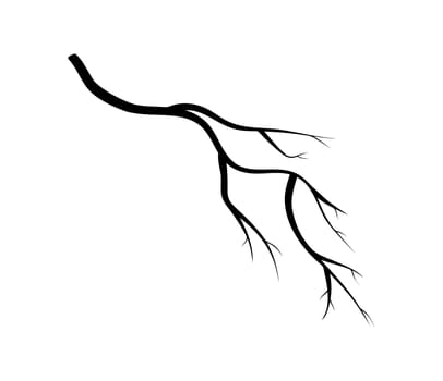 branch silhouette icon, symbol, design. vector illustration isolated on white background.