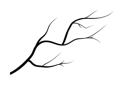 branch silhouette icon, symbol, design. vector illustration isolated on white background.