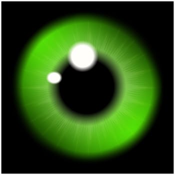 Image of green   pupil of the eye, eye ball, iris eye. Realistic vector illustration isolated on black background.