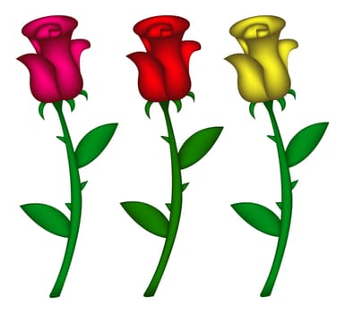 Set of realistic roses. Vector illustration isolated on white background. Created with mesh tool.