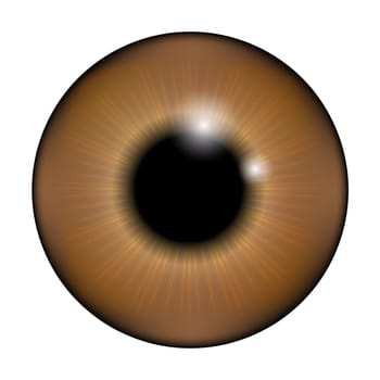 The pupil of the eye, eye ball. Realistic vector illustration isolated on white background.