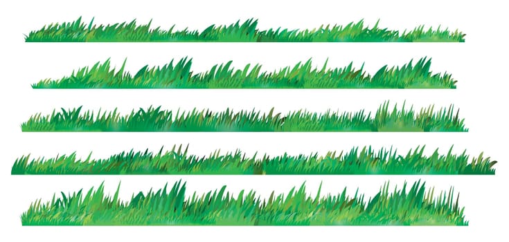 Green Grass Set, Isolated On White Background, Vector Illustration