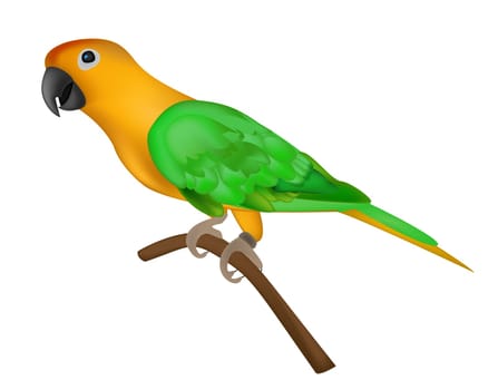 Beautiful colorful parrot isolated on white background- vector illustration