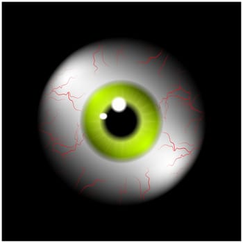 Image of realistic human eye ball with yellow,green  pupil, iris. Vector illustration isolated on black background.