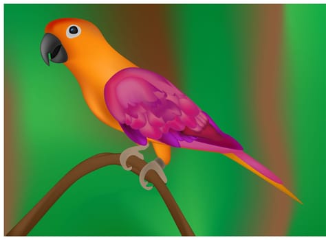 Beautiful colorful parrot on green background- vector illustration
