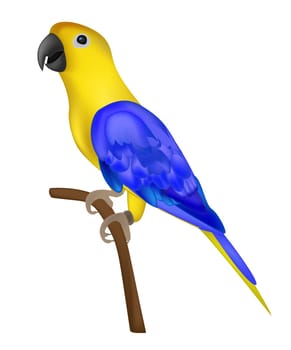 Beautiful colorful parrot isolated on white background- vector illustration
