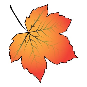 Image of cartoon maple leaf . Vector illustration isolated on white background.