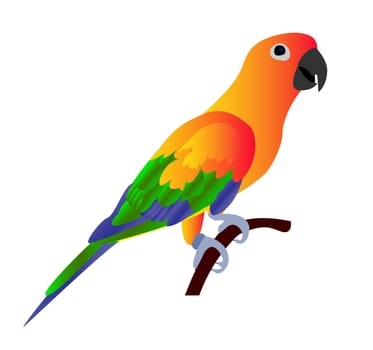Beautiful colorful parrot isolated on white background- vector illustration
