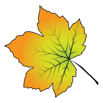 Image of cartoon maple leaf . Vector illustration isolated on white background.