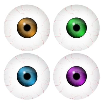 Image of realistic human eye ball with colorful pupil, iris. Vector illustration isolated on white background.