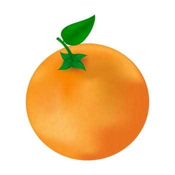 Realistic vector illustration of orange fruit with green leaves. Isolated on white background