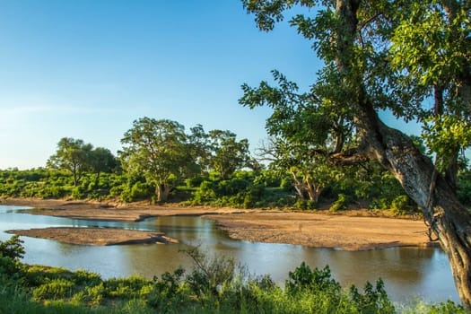 landscape of the river during rainy season in Kruger national park, South Africa