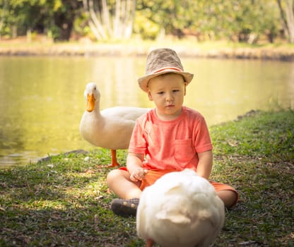 Boy and ducks near lake. Mauritius