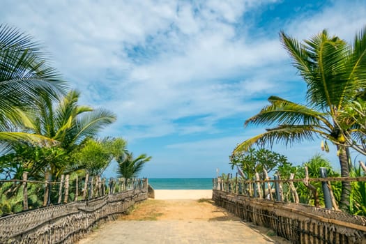 track to the beach at Arugam Bay, Sri Lanka
