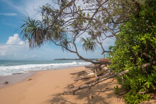 paradise sandy beach in Arugam Bay, Sri Lanka