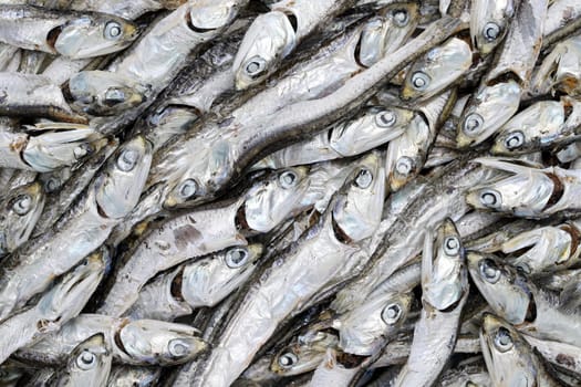 close up of dried small fish, texture background
