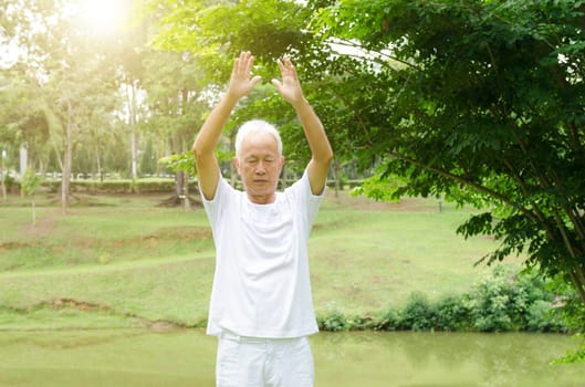 Portrait of healthy grey hair Asian senior man practicing tai chi at outdoor park in morning.